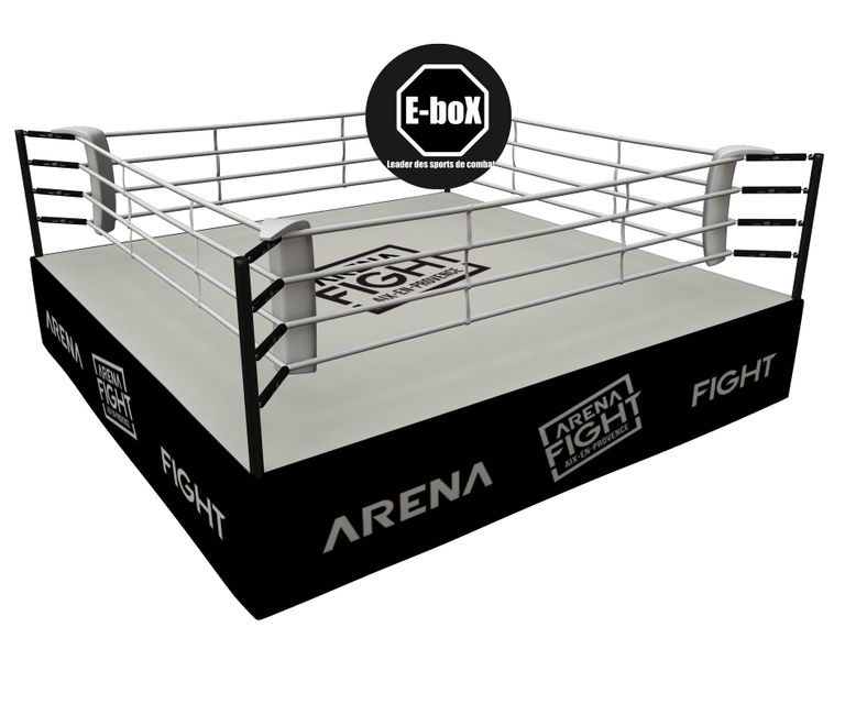 Ring personnalisé pour l'Arena Paris